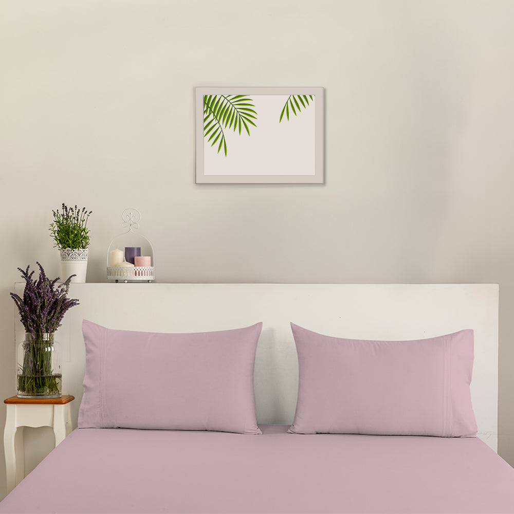 Empress Edit Pure Farm Cotton - 400 TC Plain with Chic Pillow embroidery